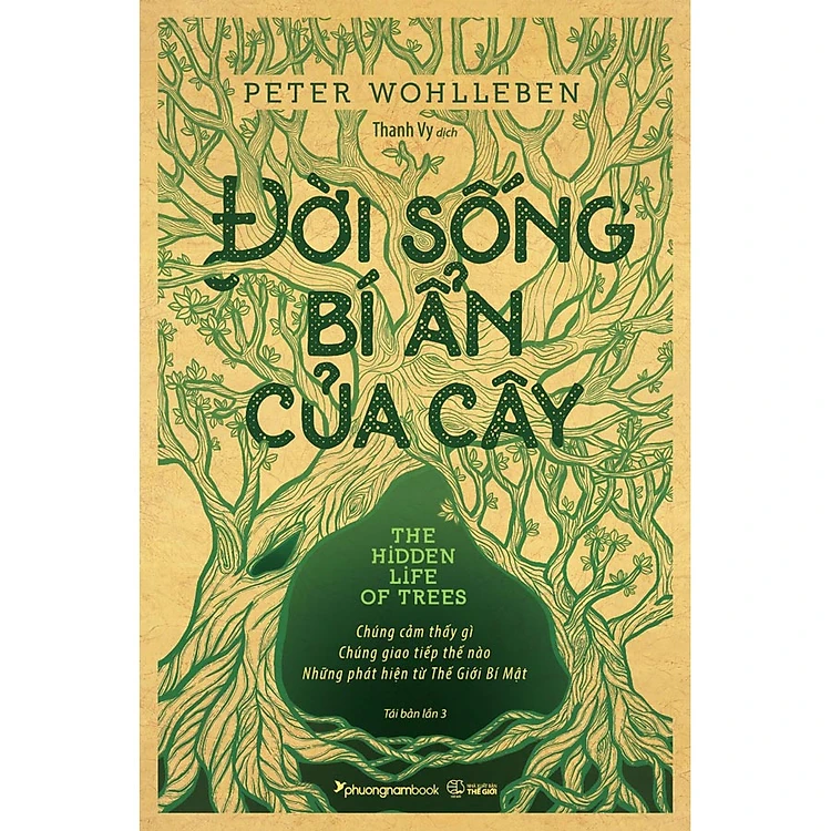 Đời Sống Bí Ẩn Của Cây